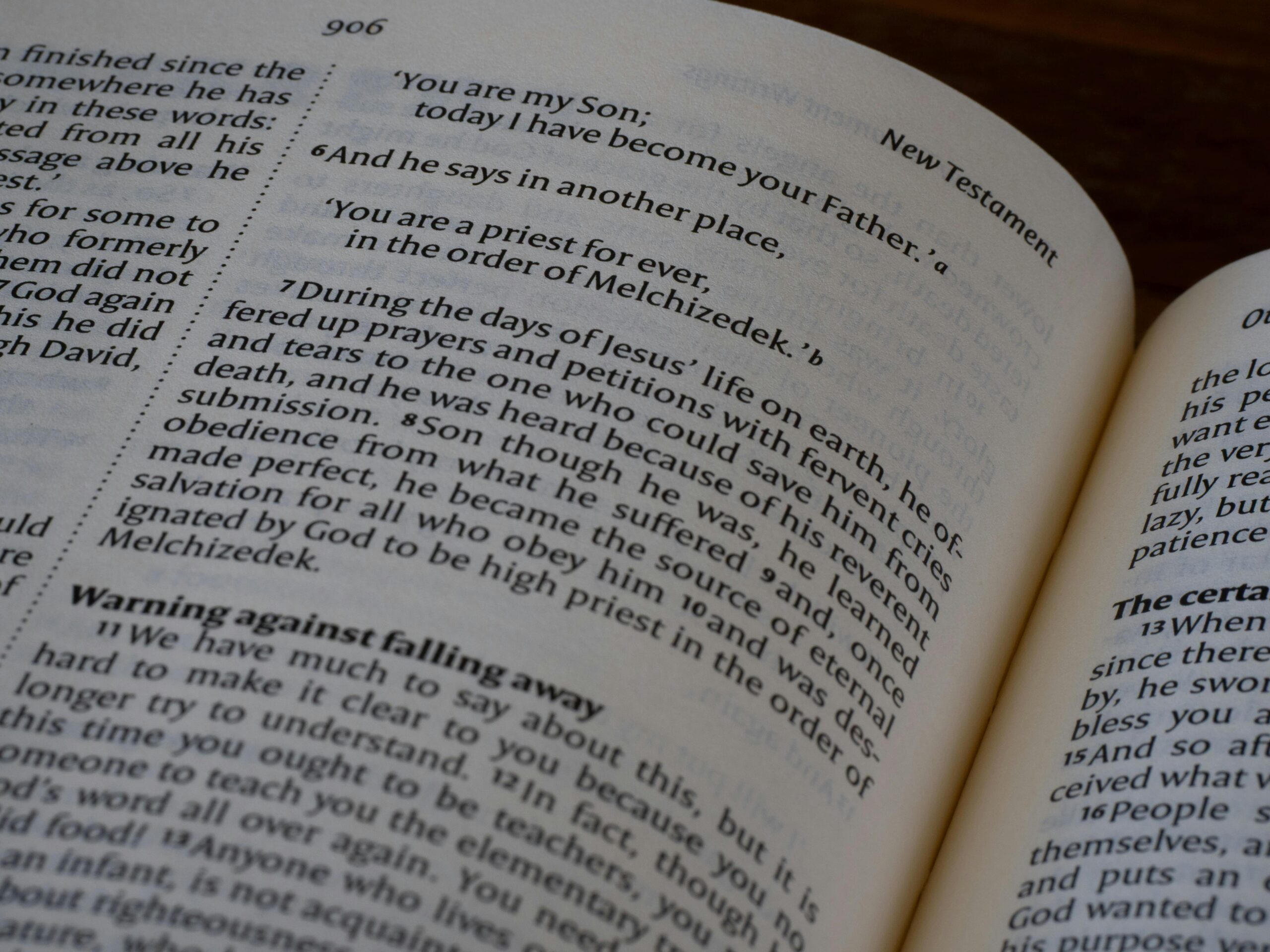 Luật sư soạn di chúc thừa kế ở Huyện U Minh Thượng, Tỉnh Kiên Giang - Ảnh 2