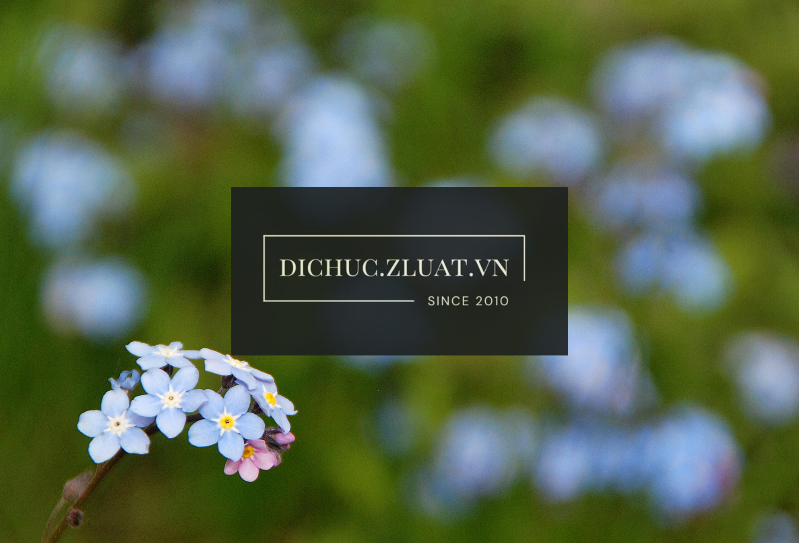 [DI CHÚC – CÔNG CHỨNG] Trọn gói biên soạn di chúc tại Phường Hồng Hà, Thành phố Hà Nội - Ảnh 2