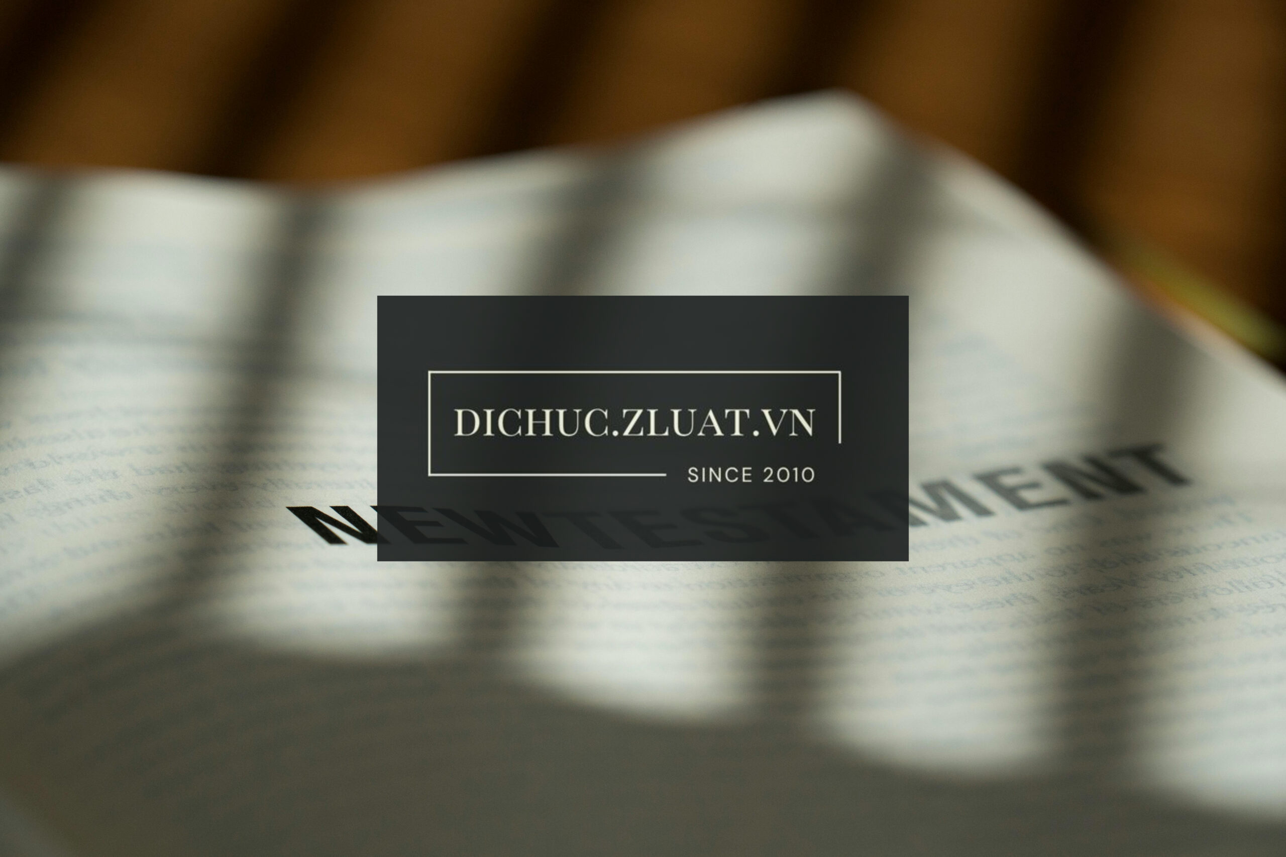 Văn phòng Luật soạn hồ sơ thừa kế ở địa điểm Huyện Ngọc Hiển, Tỉnh Cà Mau - Ảnh 2